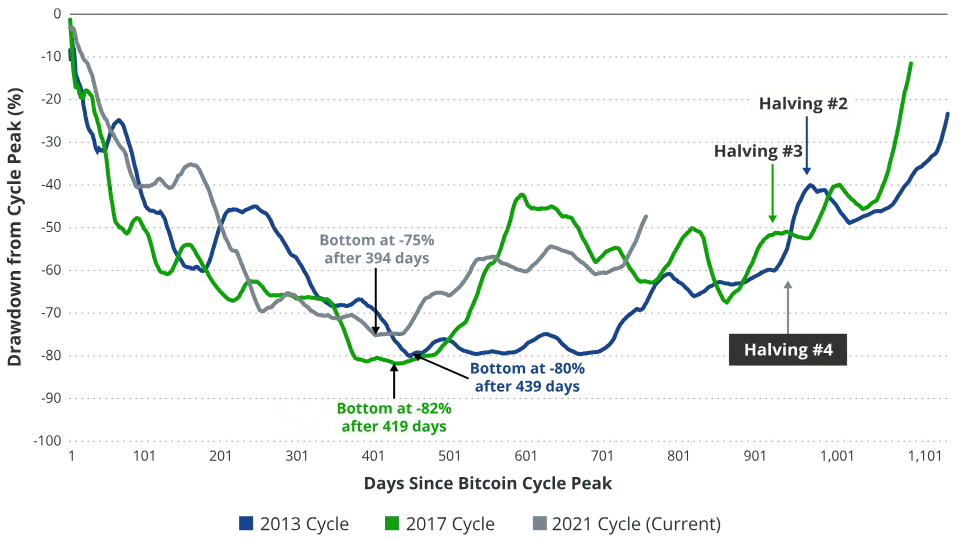 Picture of The Growth of Digital Assets